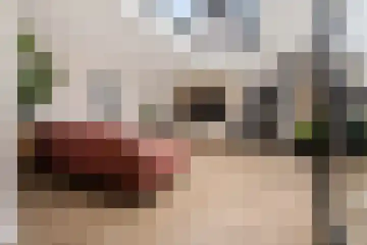 Prof. Molengraafflaan 9 Baarn thumbnail 5