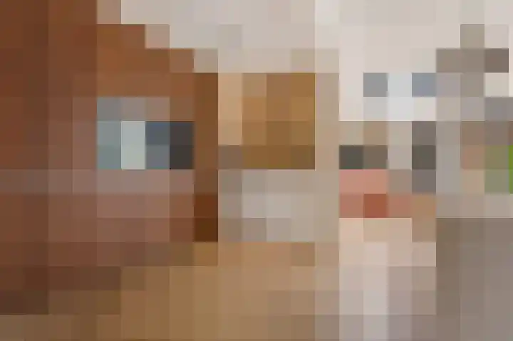 Prof. Molengraafflaan 9 Baarn thumbnail 8
