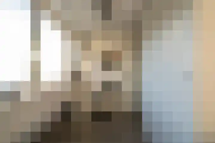 Prof.Mr. P. Lieftinckstraat 6 Gorinchem thumbnail 22
