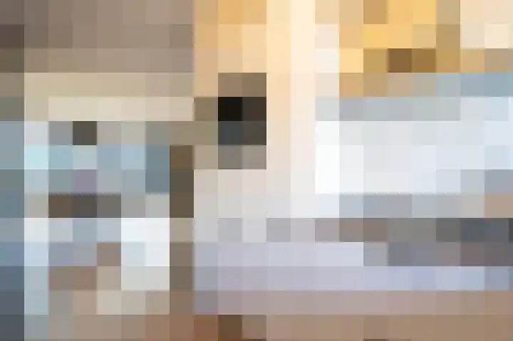 Prof.Mr. P. Lieftinckstraat 6 Gorinchem thumbnail 7