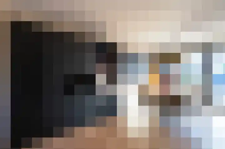 Prof.Mr. P. Lieftinckstraat 6 Gorinchem thumbnail 8