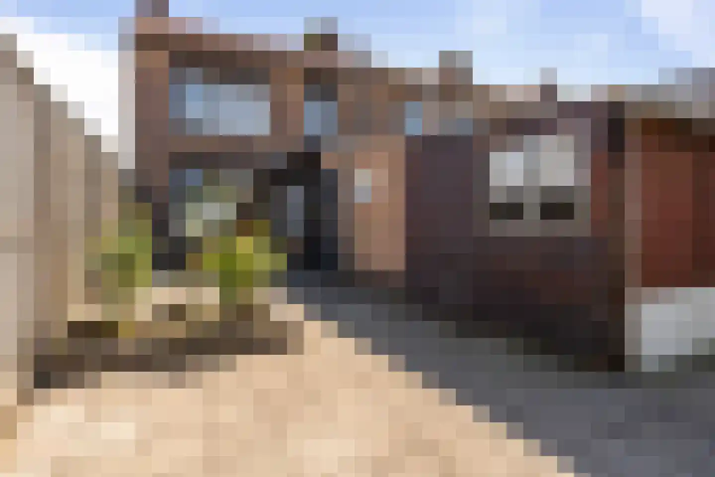 Prof Mulderslaan 6 Oudenbosch thumbnail 20