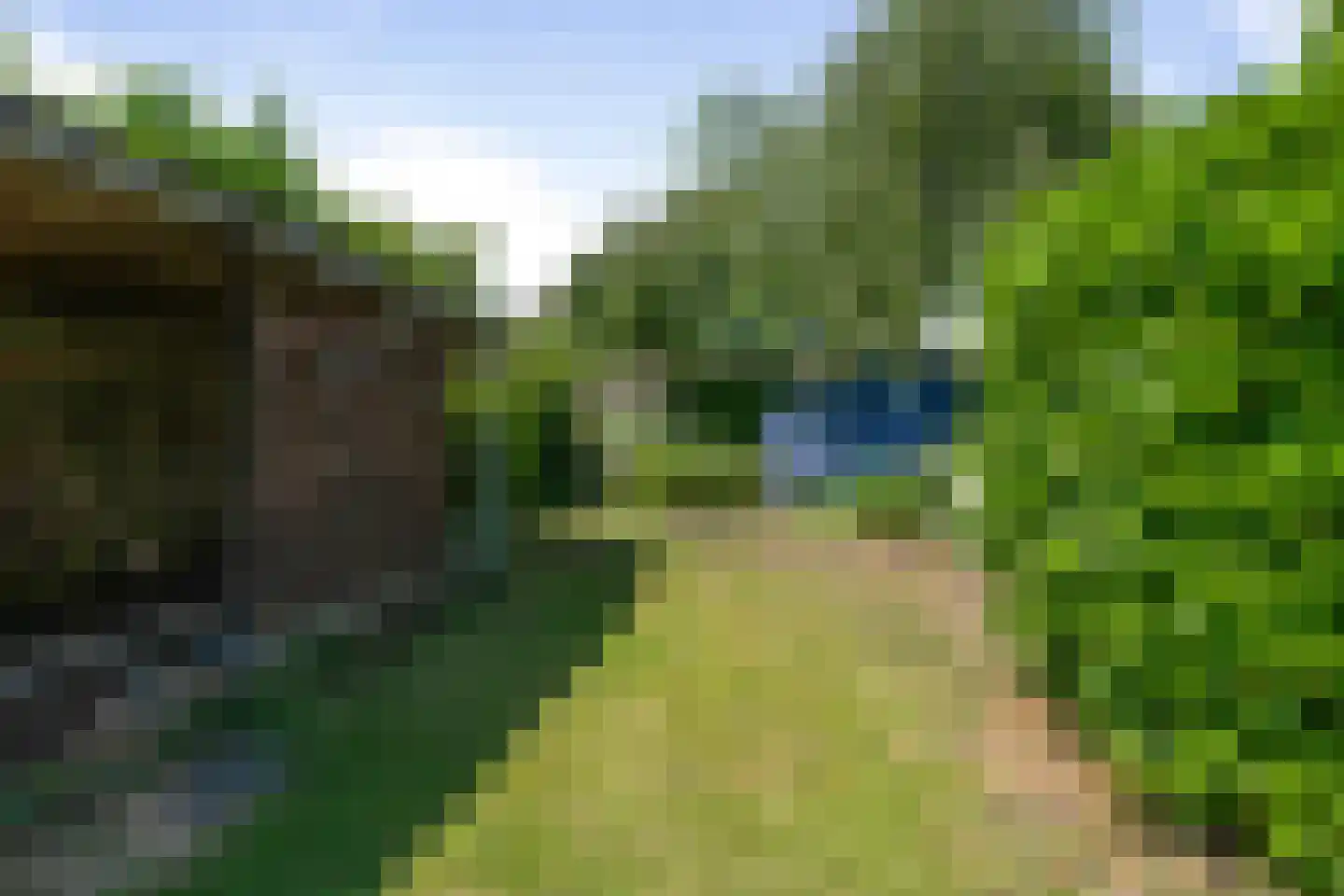 Prof Mulderslaan 6 Oudenbosch thumbnail 6