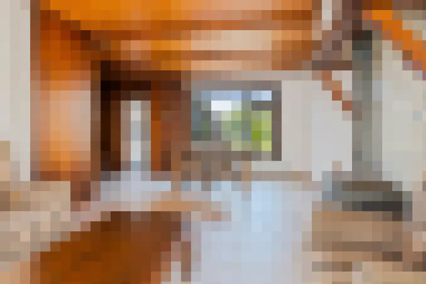Prof Mulderslaan 6 Oudenbosch thumbnail 8