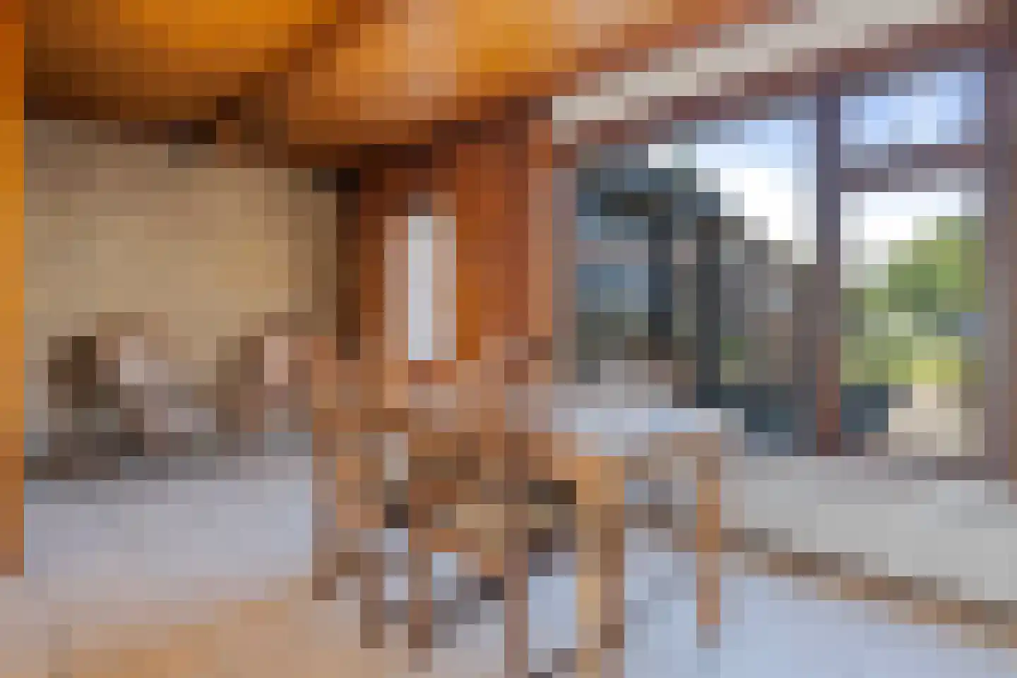 Prof Mulderslaan 6 Oudenbosch thumbnail 9