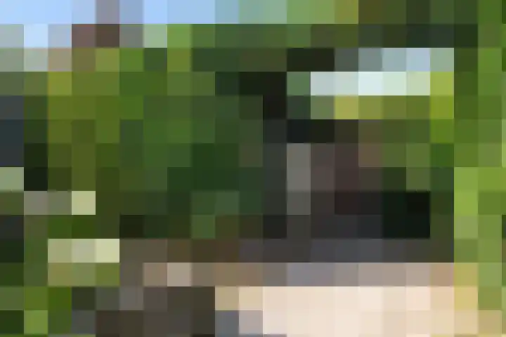 Prof. Nolenslaan 3 Waalwijk thumbnail 13