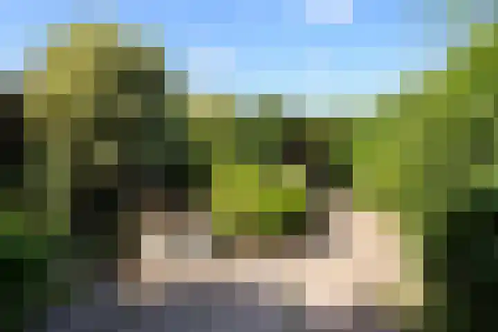 Prof. Nolenslaan 3 Waalwijk thumbnail 4