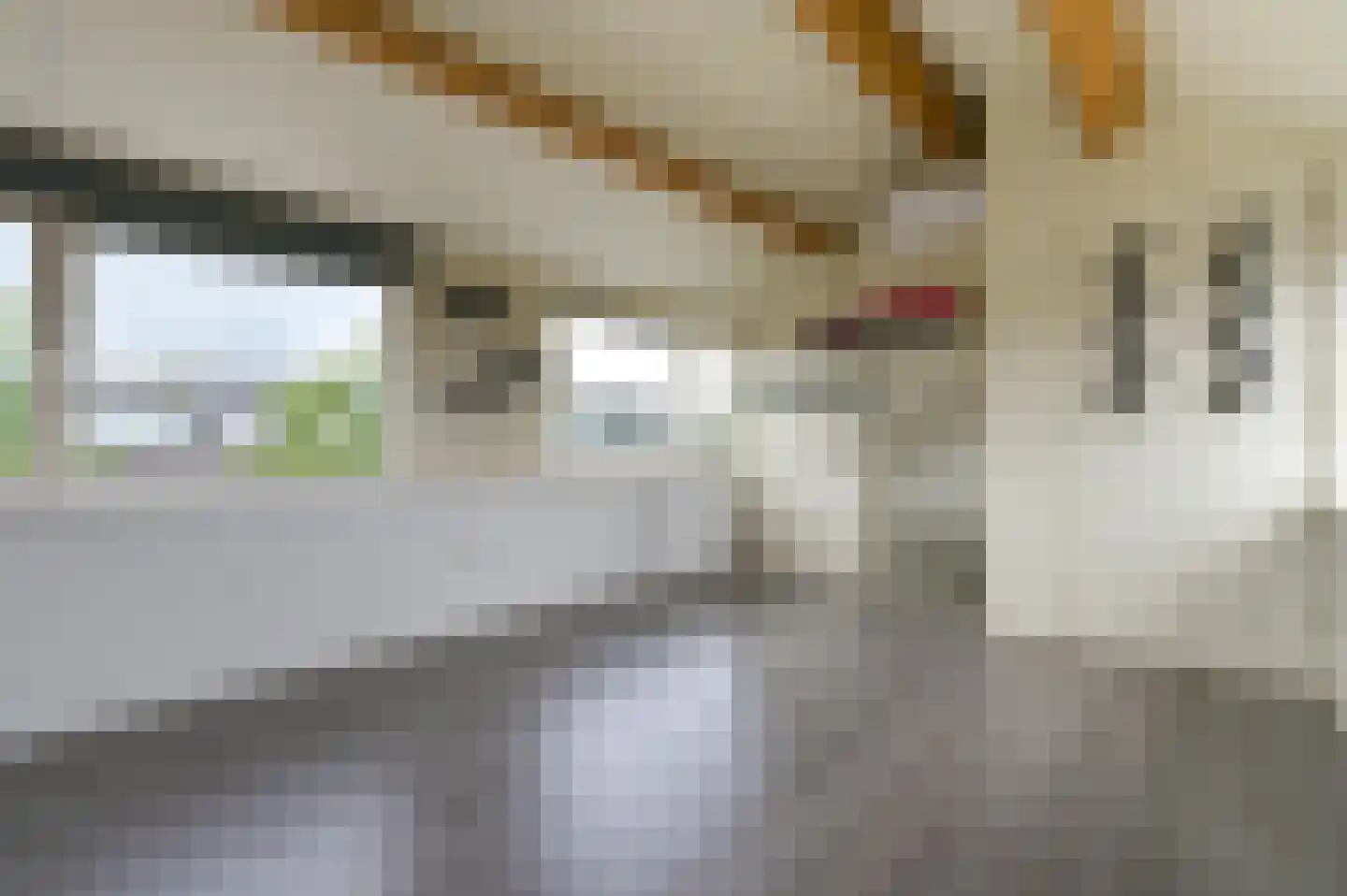 Prof. Oppenheimlaan 6 Baarn thumbnail 22