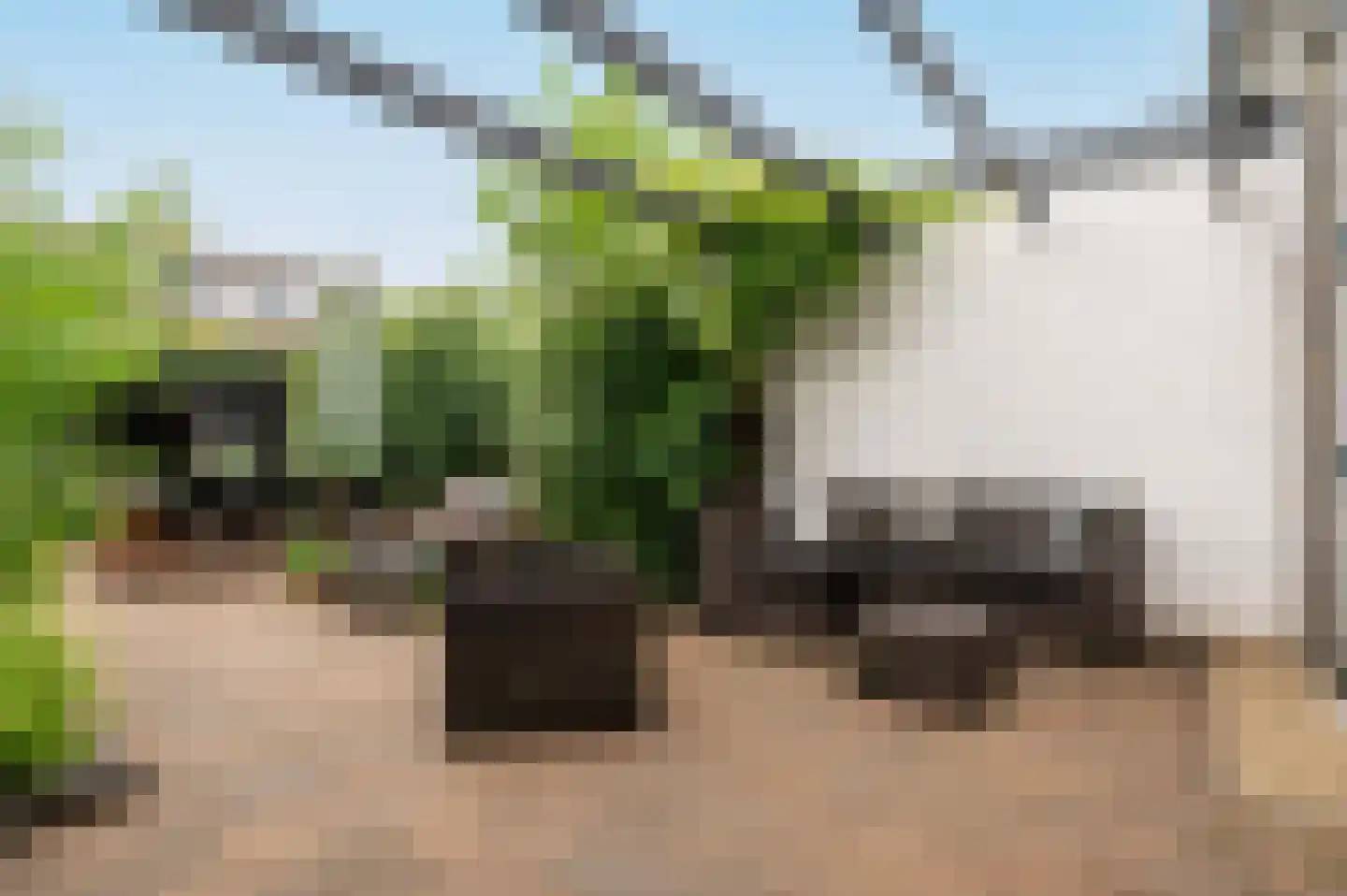 Prof. Oppenheimlaan 6 Baarn thumbnail 25