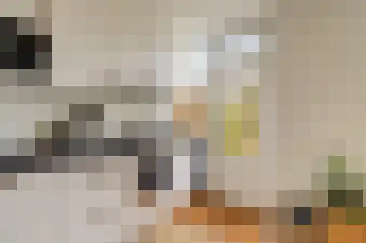 Prof. Oudlaan 3 Woerden thumbnail 10
