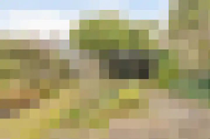 Prof. Oudlaan 3 Woerden thumbnail 11