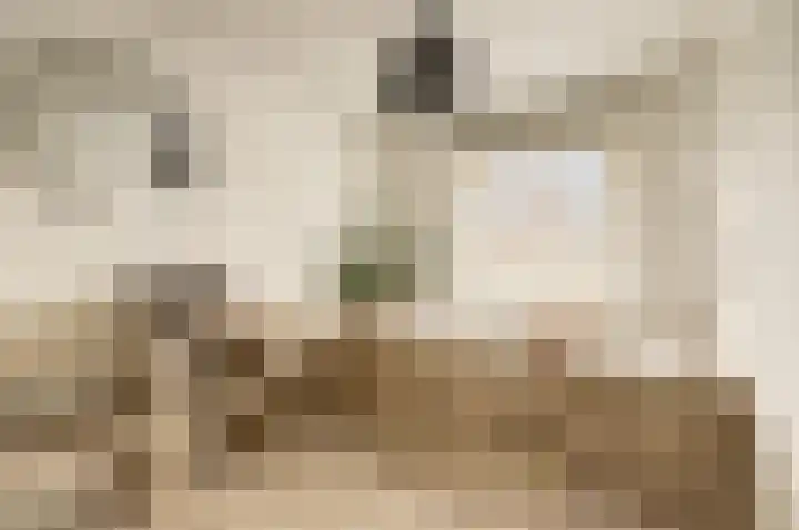 Prof. Oudlaan 3 Woerden thumbnail 23
