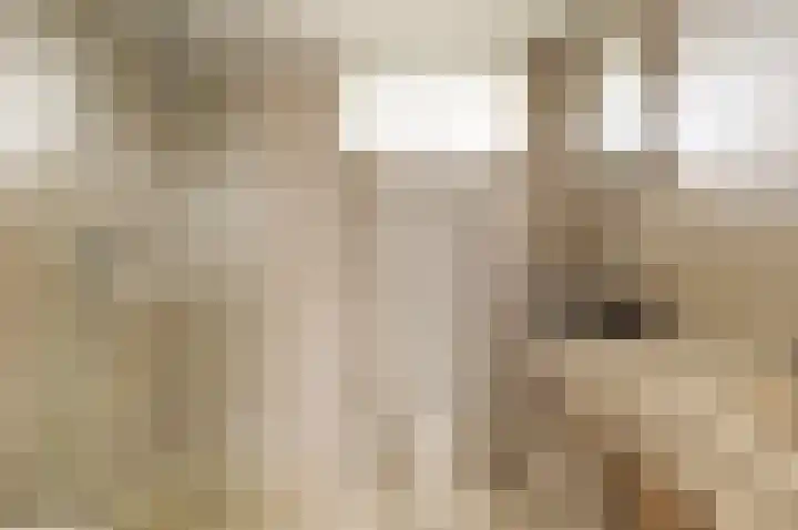Prof. Oudlaan 3 Woerden thumbnail 25