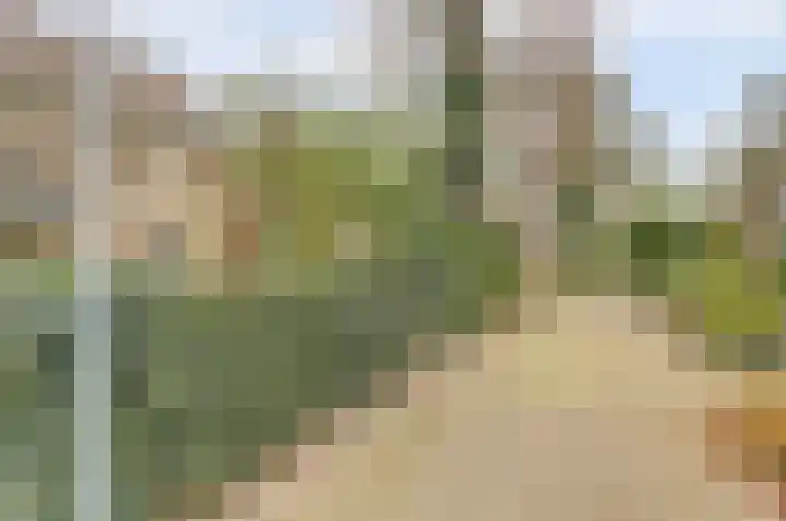 Prof. Oudlaan 3 Woerden thumbnail 29