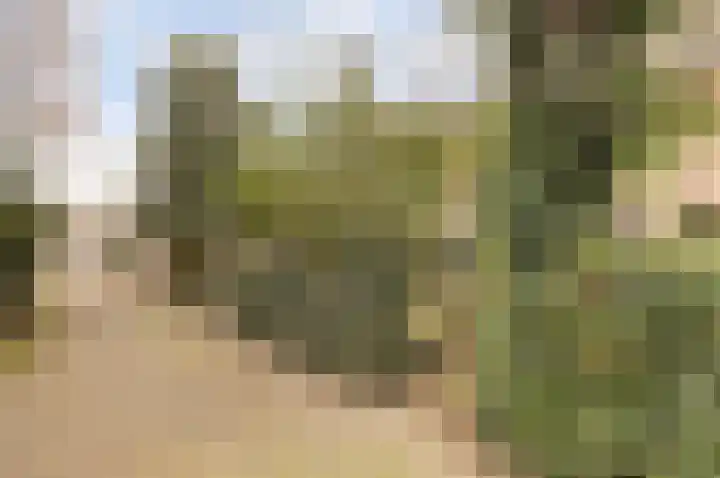 Prof. Oudlaan 3 Woerden thumbnail 30
