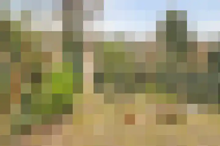 Prof. Oudlaan 3 Woerden thumbnail 32