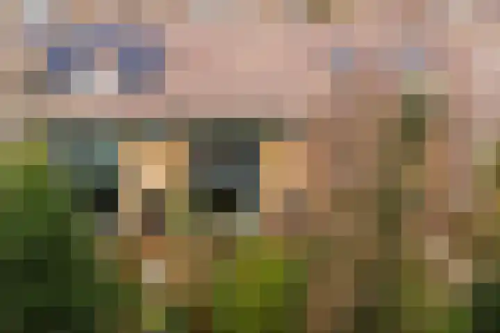 Prof. Oudlaan 3 Woerden thumbnail 34