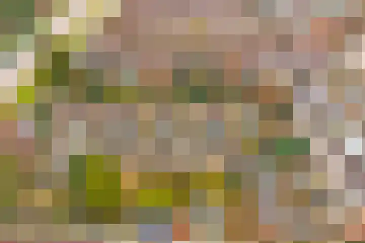 Prof. Oudlaan 3 Woerden thumbnail 35