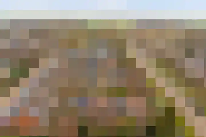 Prof. Oudlaan 3 Woerden thumbnail 36