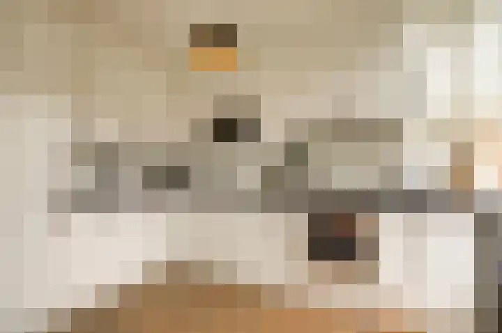 Prof. Oudlaan 3 Woerden thumbnail 9