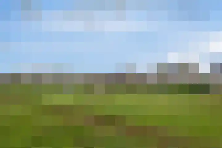 Prof. Oudlaan 6 Helmond thumbnail 10