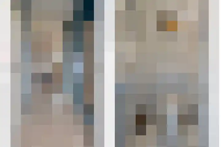 Prof. Oudlaan 6 Helmond thumbnail 11