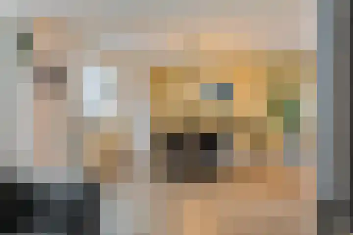 Prof. Oudlaan 6 Helmond thumbnail 16