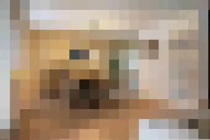 Prof. Oudlaan 6 Helmond thumbnail 18