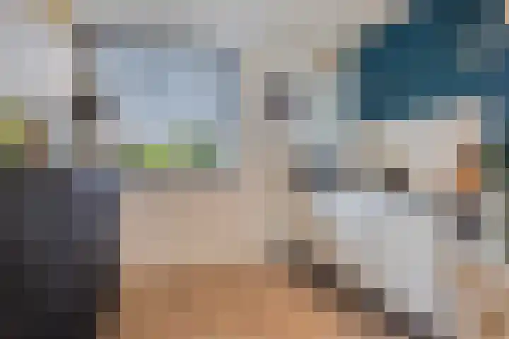 Prof. Oudlaan 6 Helmond thumbnail 20