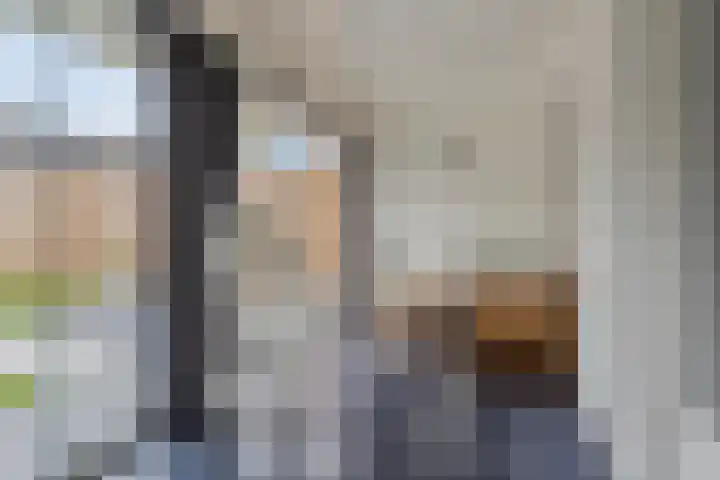 Prof. Oudlaan 6 Helmond thumbnail 22