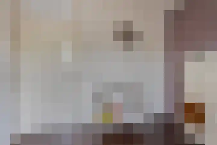 Prof. Oudlaan 6 Helmond thumbnail 25