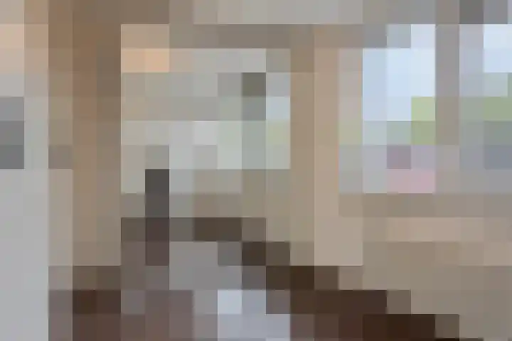 Prof. Oudlaan 6 Helmond thumbnail 28