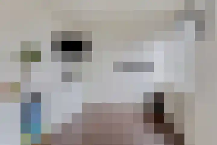 Prof. Oudlaan 6 Helmond thumbnail 29