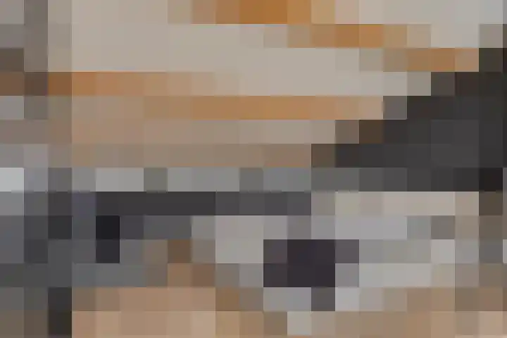 Prof. Oudlaan 6 Helmond thumbnail 32