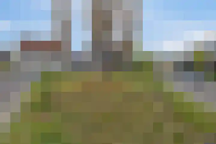 Prof. Oudlaan 6 Helmond thumbnail 36