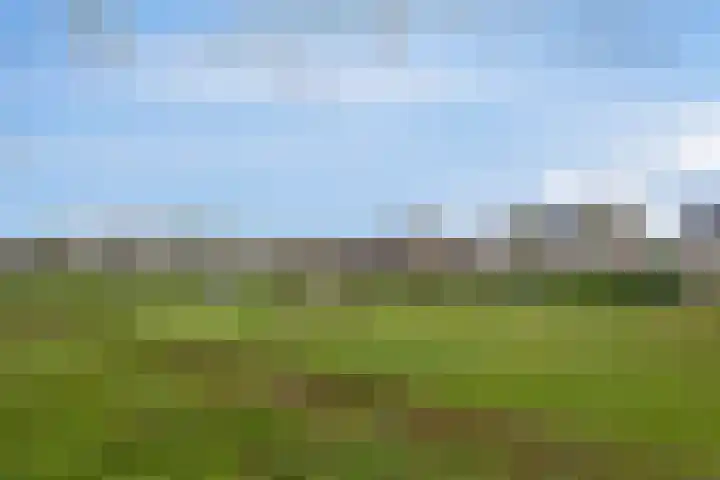 Prof. Oudlaan 6 Helmond thumbnail 37