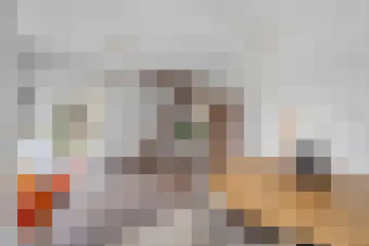 Prof. Oudlaan 7 Woerden thumbnail 12