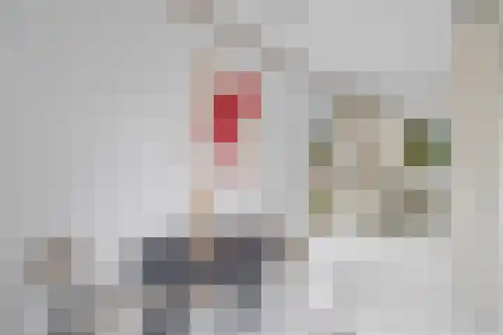 Prof. Oudlaan 7 Woerden thumbnail 13