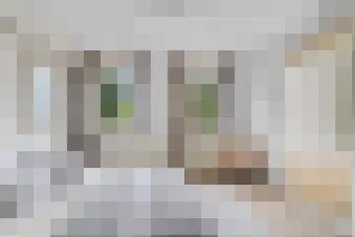 Prof. Oudlaan 7 Woerden thumbnail 20