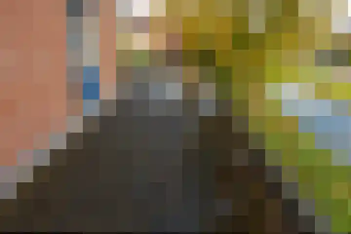 Prof. Oudlaan 7 Woerden thumbnail 23