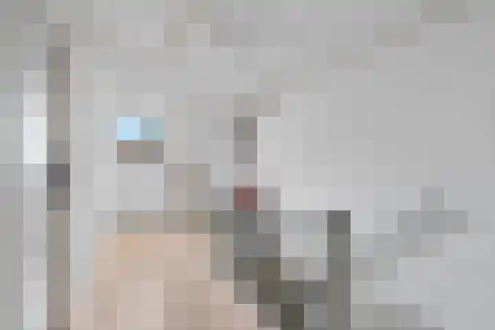 Prof. Oudlaan 7 Woerden thumbnail 32