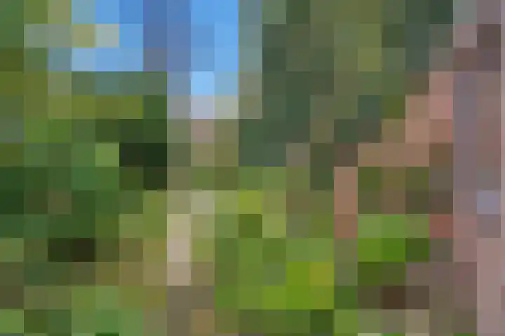 Prof. Oudlaan 7 Woerden thumbnail 39