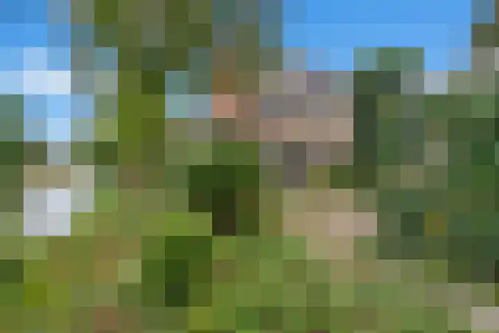 Prof. Oudlaan 7 Woerden thumbnail 4