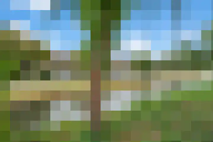 Prof. Oudlaan 7 Woerden thumbnail 47
