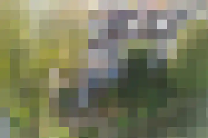 Prof. Oudlaan 7 Woerden thumbnail 51