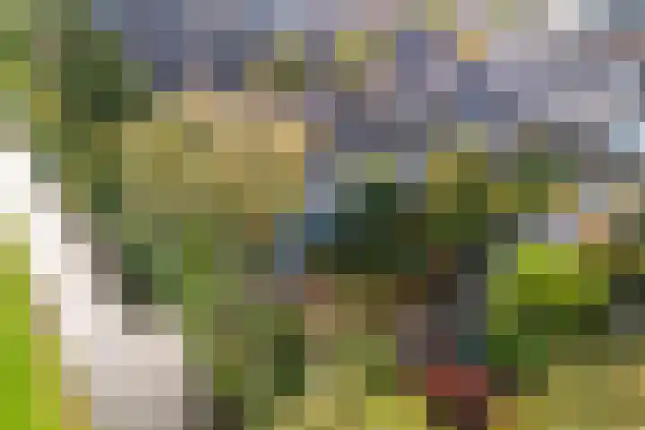 Prof. Oudlaan 7 Woerden thumbnail 53