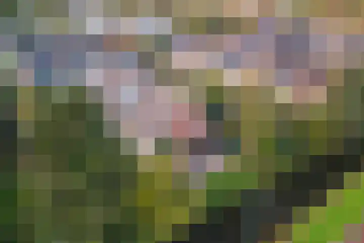 Prof. Oudlaan 7 Woerden thumbnail 54