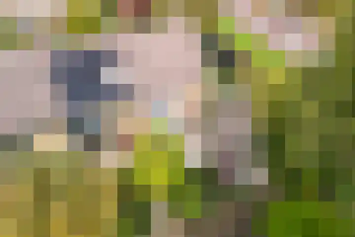 Prof. Oudlaan 7 Woerden thumbnail 56