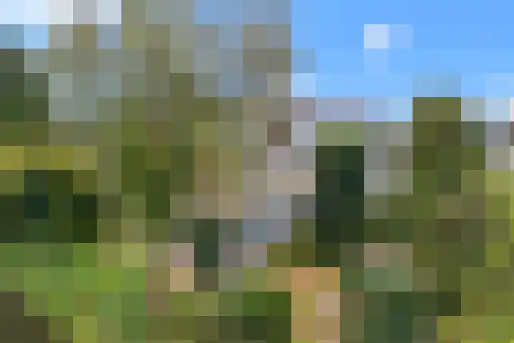 Prof. Oudlaan 7 Woerden thumbnail 57