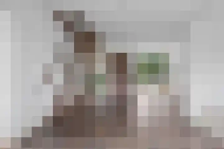 Prof. Oudlaan 7 Woerden thumbnail 7